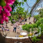 Author giving talk in the Med Biome